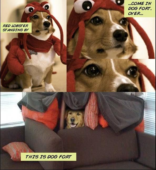 red-lobster-to-dog-fort.jpg?w=593&h=647